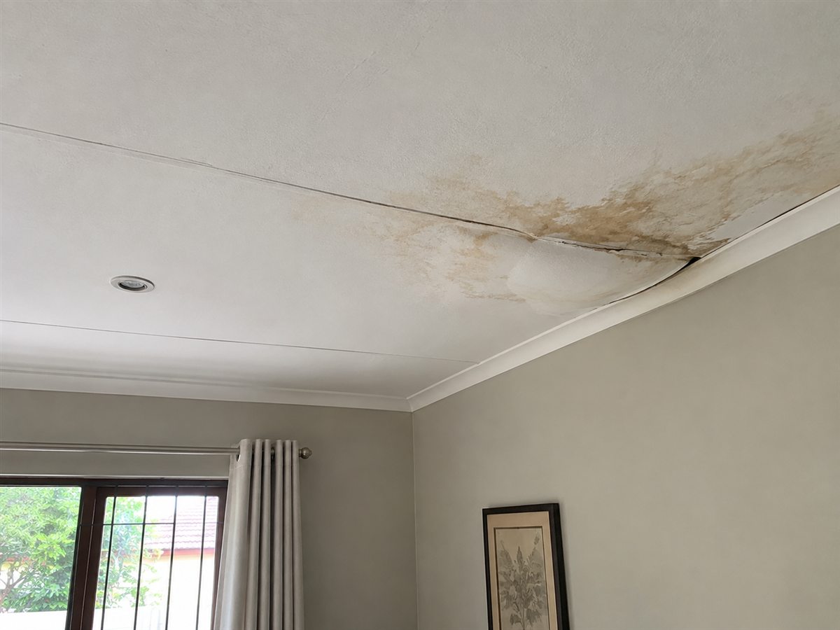 Cornice and ceiling preparation